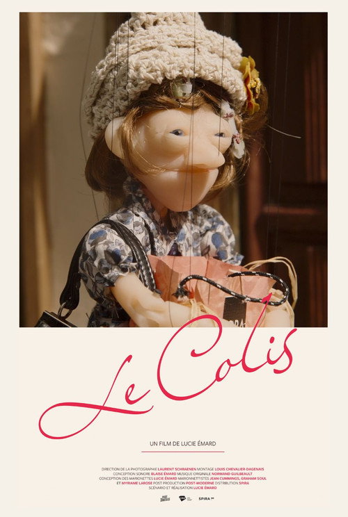 Le colis poster