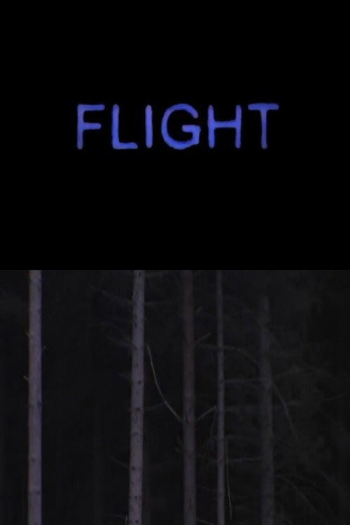 Flight poster