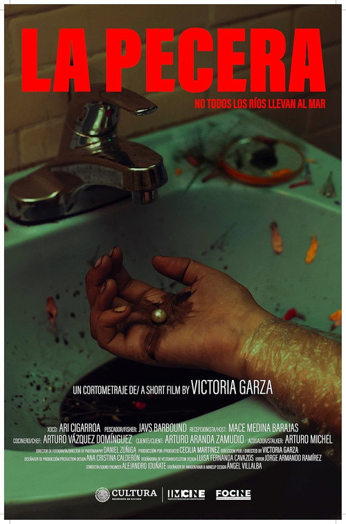 The Fish Tank poster