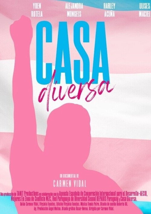 Diverse House poster