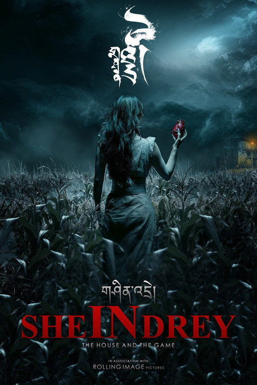 SHEinDREY poster