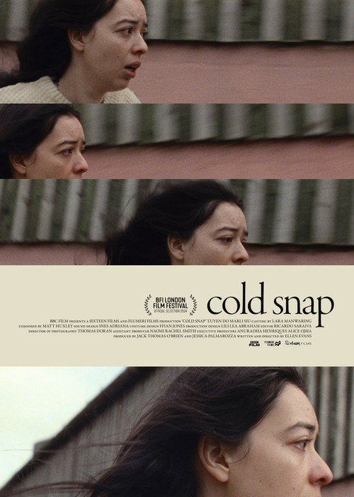 Cold Snap poster