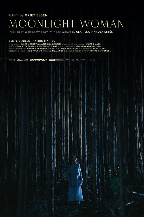 Moonlight Woman poster