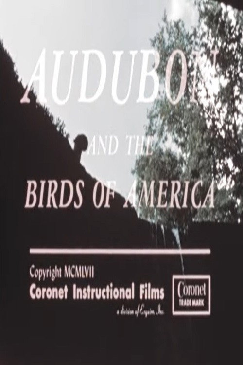Audubon and the Birds of America poster