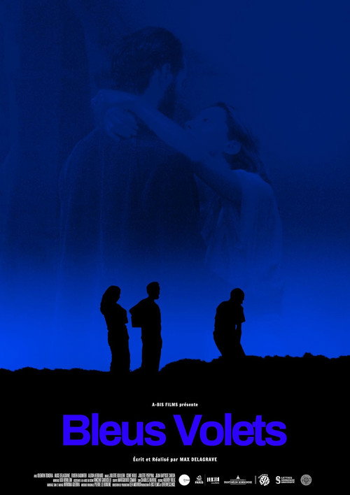 Bleus volets poster