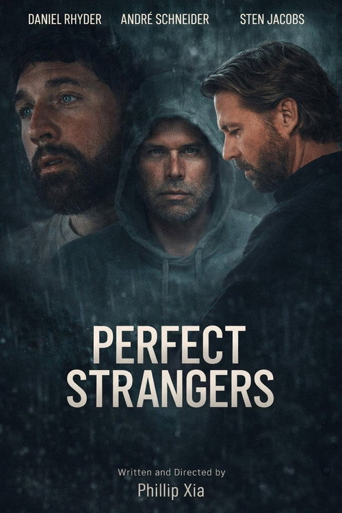 Perfect Strangers poster