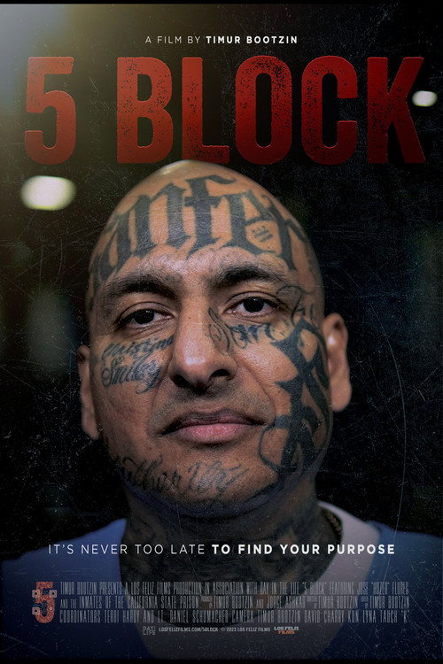5 Block poster