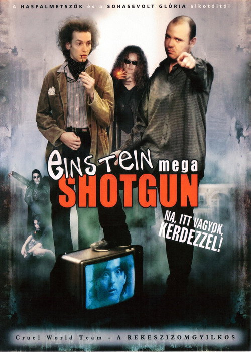 Einstein Mega Shotgun poster