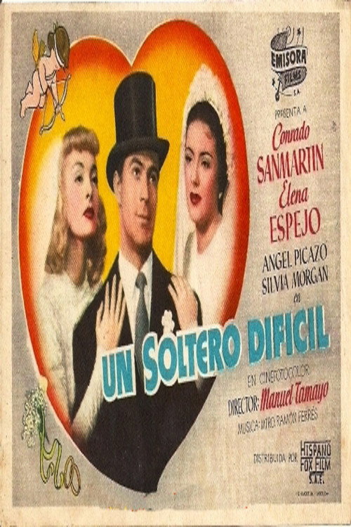 Un soltero difícil poster