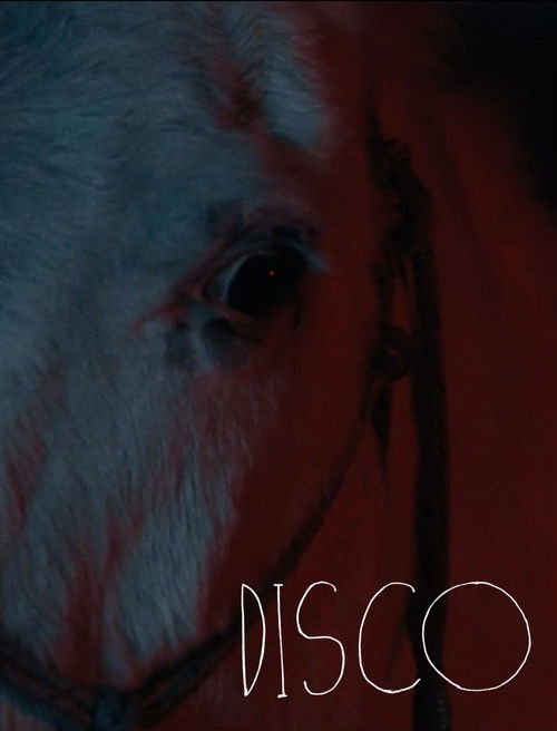 Disco poster