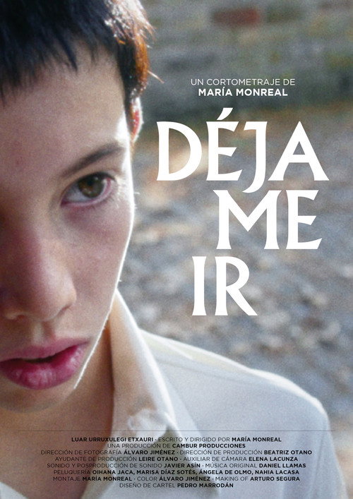 Dejame ir poster