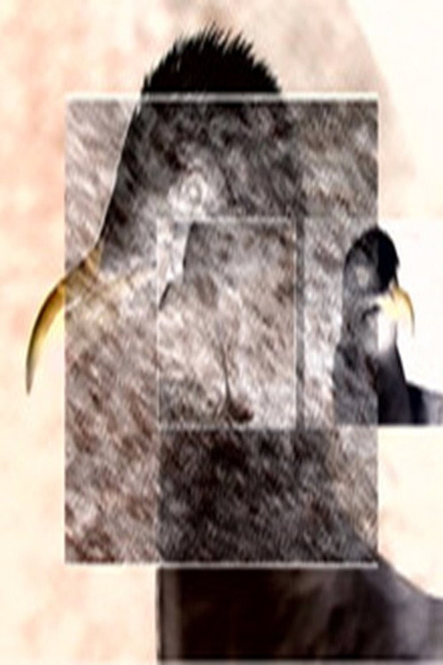 Ruffled Feathers poster