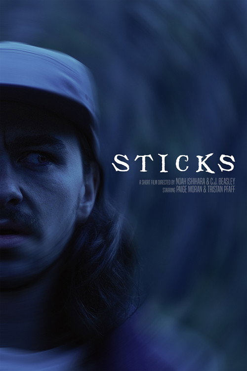 STICKS poster