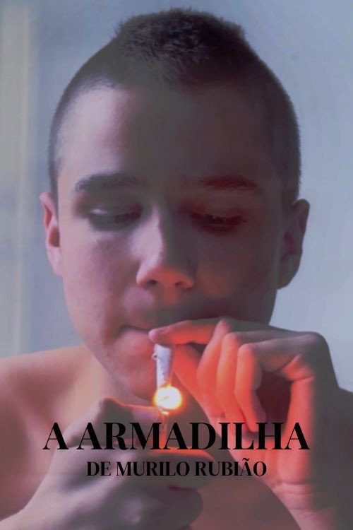 A Armadilha poster