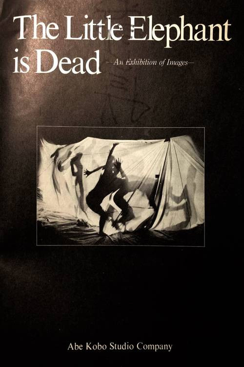The Little Elephant is Dead / An Elephant Calf Is Dead poster