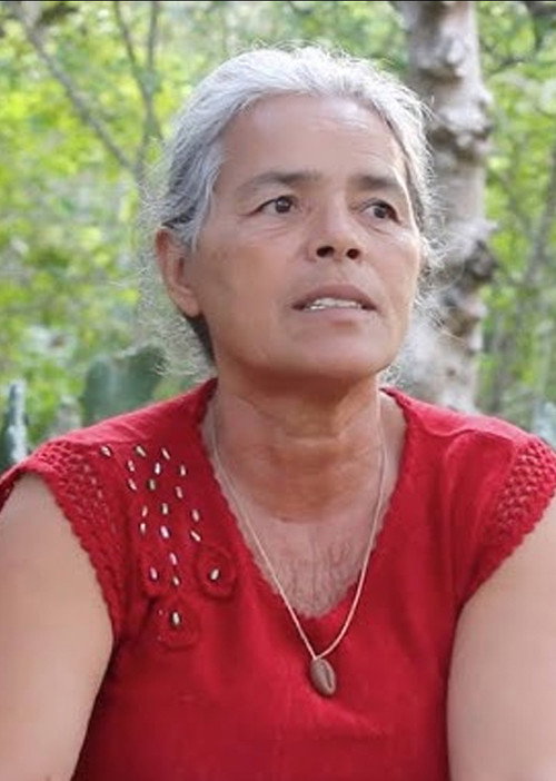 Plantando Água poster