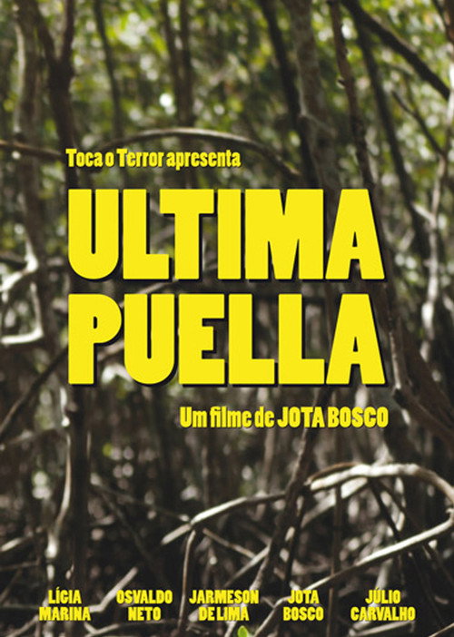 Ultima Puella poster