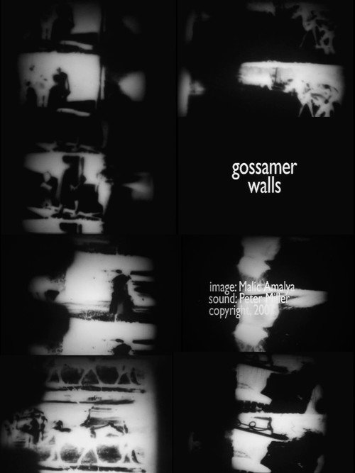 Gossamer Walls poster