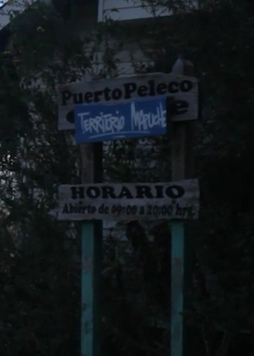 Peleco Port poster