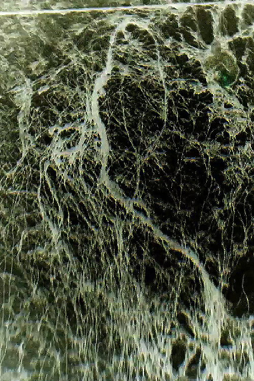 CLEARFILM poster