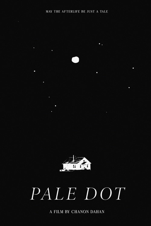 Pale Dot poster