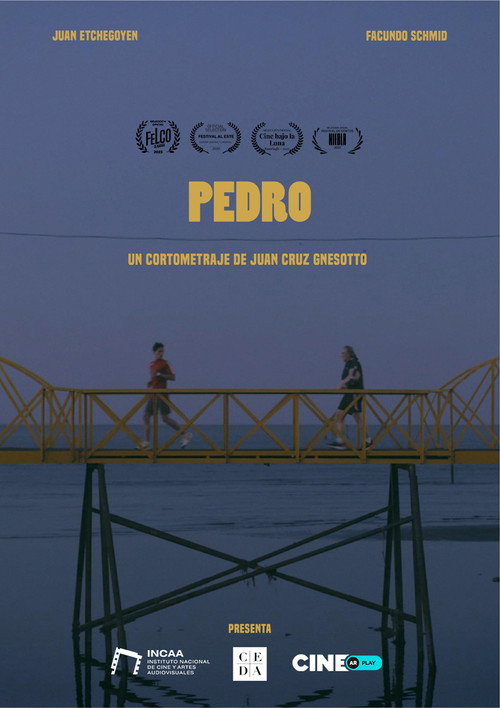 Pedro poster