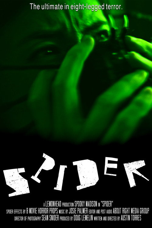 Spider poster