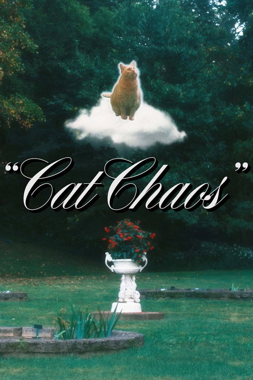 Cat Chaos poster
