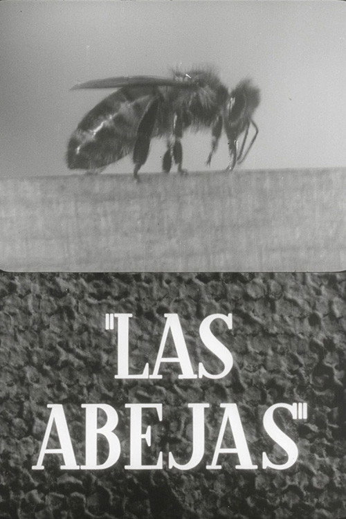 Las abejas poster