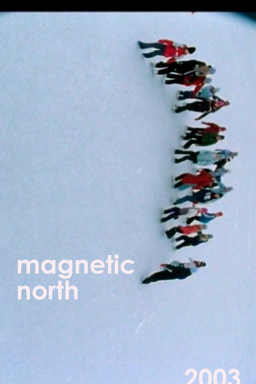 Magnetic North poster