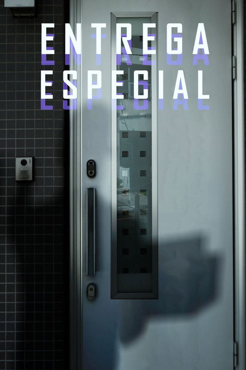 Entrega Especial poster