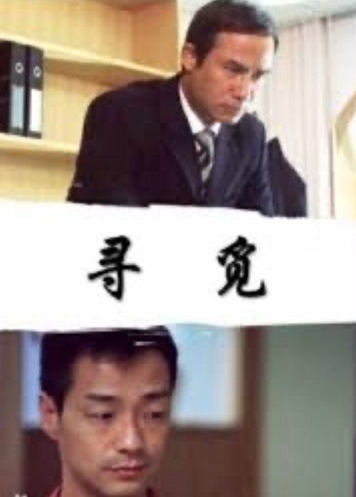 寻觅 poster