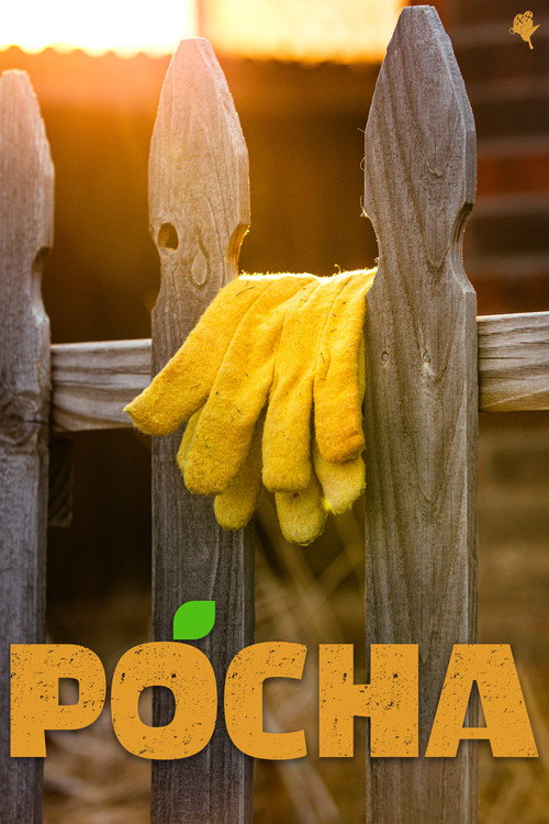 Pocha poster