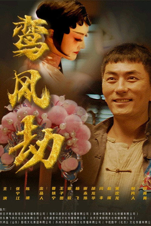 鸾凤劫 poster