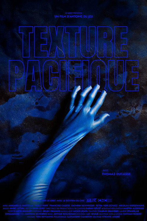 A Pacific Touch poster