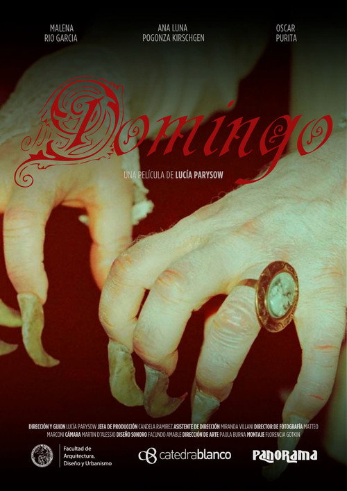Domingo poster