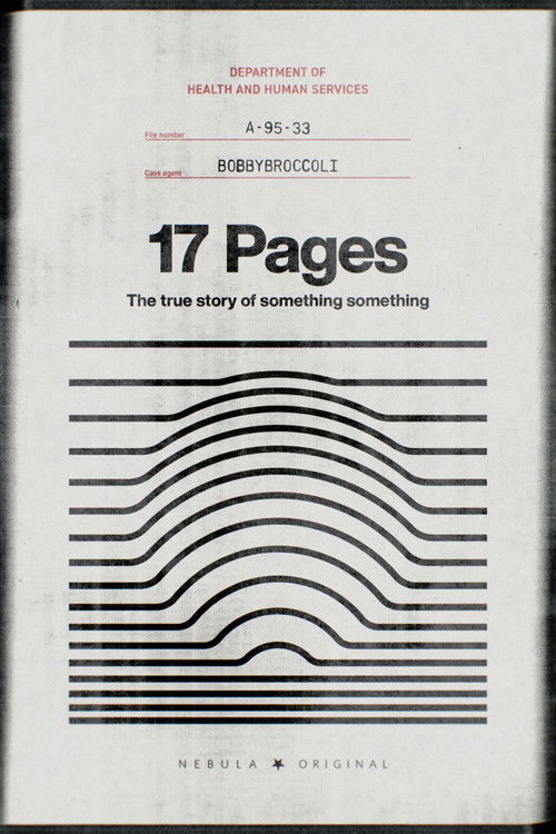 17 Pages poster