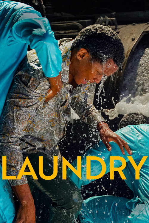 Laundry poster