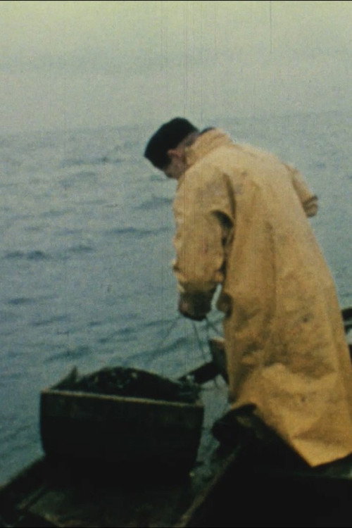 The Last Fisherman poster