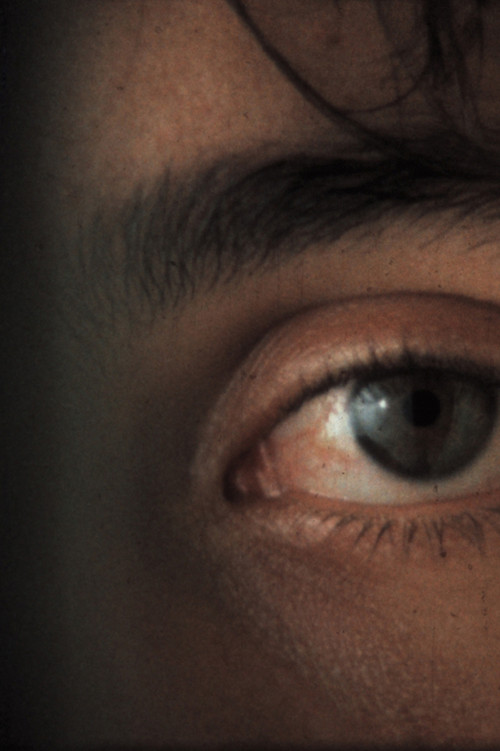 Shock Video poster