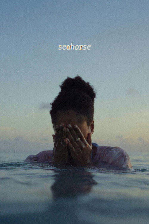 Seahorse poster