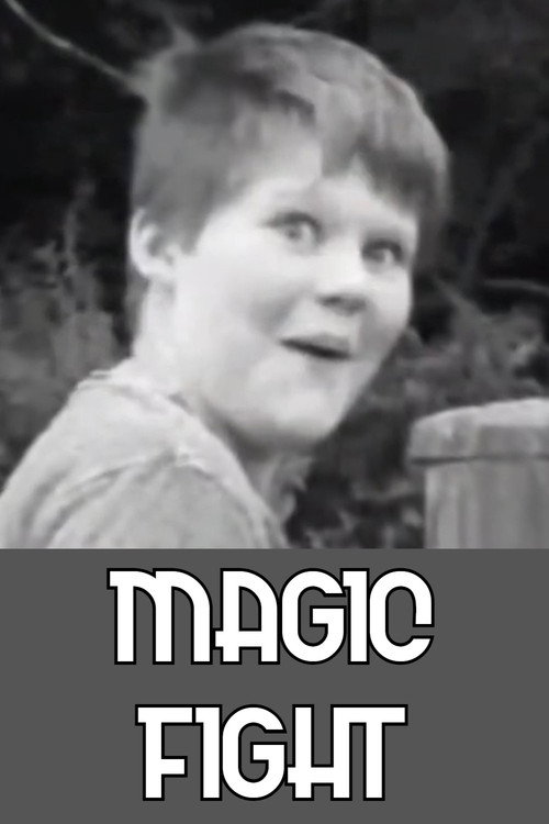 Magic Fight poster