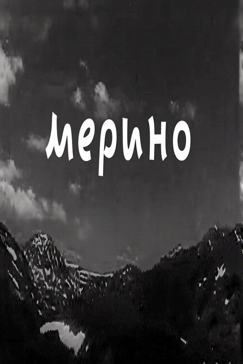 Merino poster
