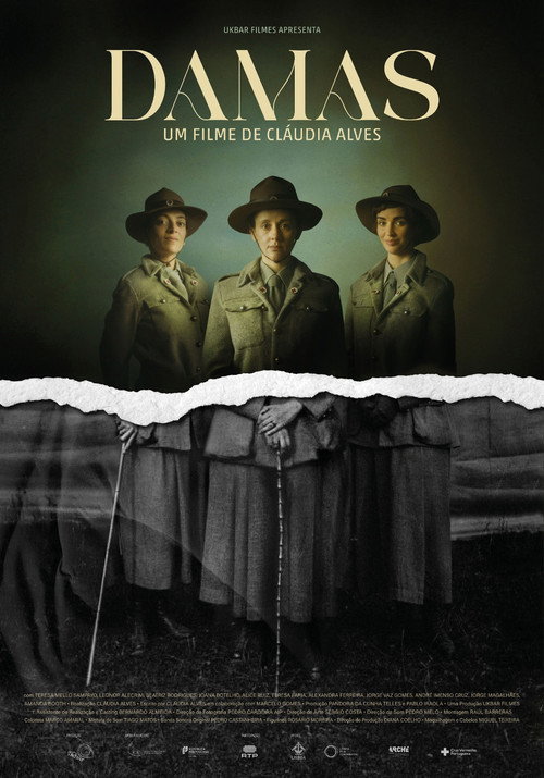 Damas poster