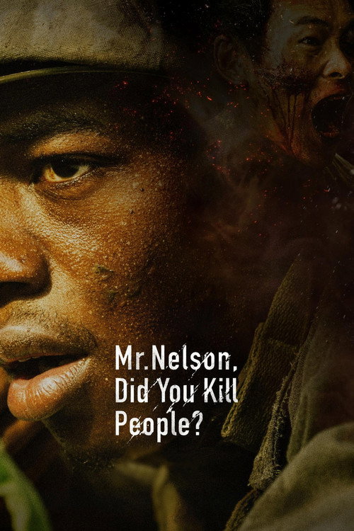 Mr. Nelson, Did You Kill People? poster