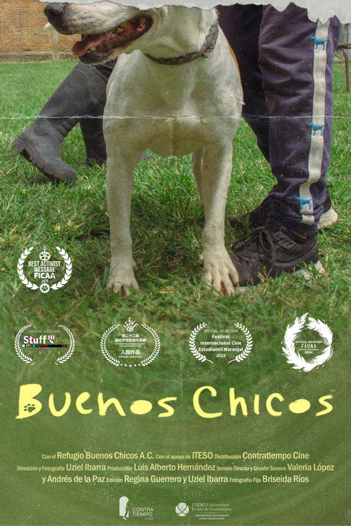 Buenos Chicos poster