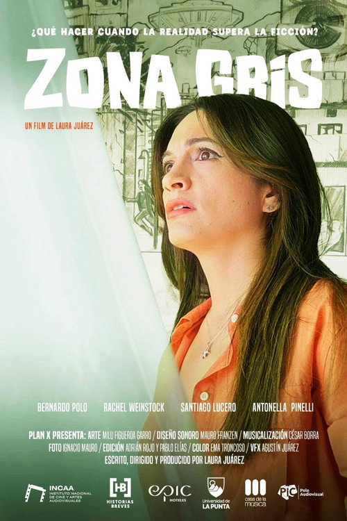 Zona gris poster