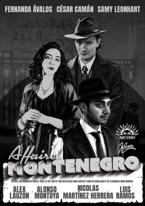The Montenegro Affair poster