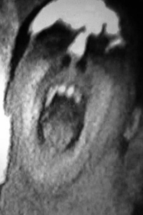 Dont Shout poster