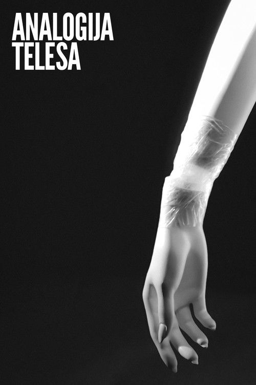 Analogy of a Body poster